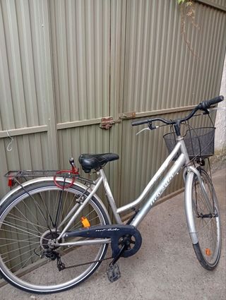 Bicicleta Paseo Netbike Plata