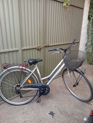 Bicicleta Paseo Netbike Plata