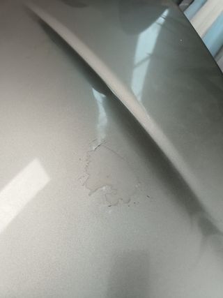 REGALO Capó Peugeot 206