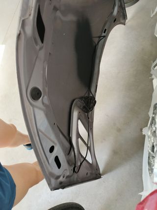 REGALO Capó Peugeot 206