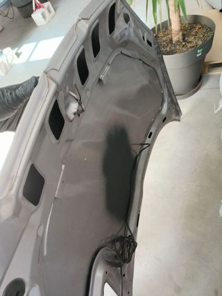 REGALO Capó Peugeot 206