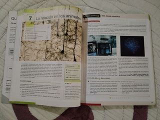 Biología, Geología y Ciencias Ambientales 1.º B...