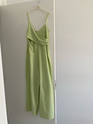 Mono verde de verano
