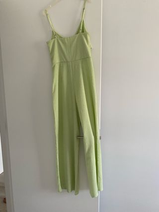 Mono verde de verano