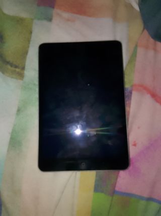 iPad Mini 1ª Gen Gris - Buen Estado