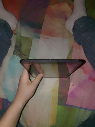 iPad Mini 1ª Gen Gris - Buen Estado