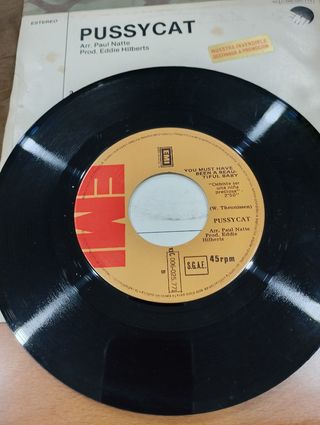 Vinilo Pussycat - If you ever come to Amsterdam