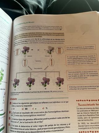 Biología y Geología 4º ESO. Libro del estudiant...