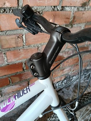 Bicicleta 26"Rockraider 300