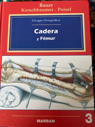 CADERA Y FEMUR