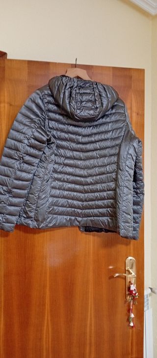 Plumas corto gris, puesto una vez