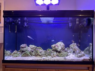 Acuario Marino