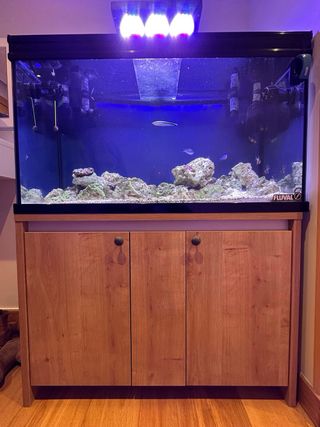 Acuario Marino