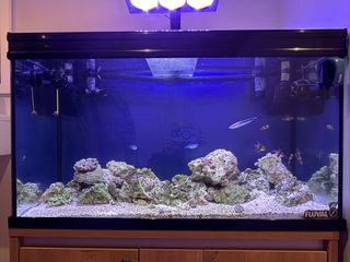 Acuario Marino
