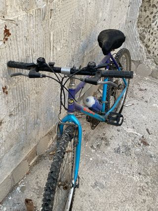 Bicicleta Montaña Azul y Morada