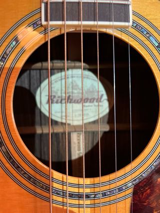 Guitarra Richwood Master Series D-70