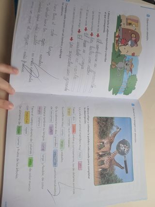 Lote de 2 cuadernos Lengua 2 Anaya