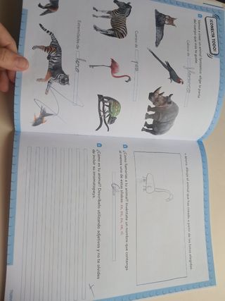 Lote de 2 cuadernos Lengua 2 Anaya
