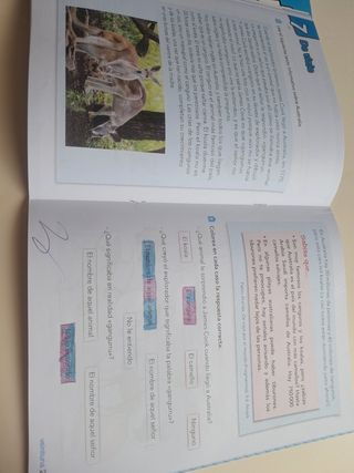 Lote de 2 cuadernos Lengua 2 Anaya