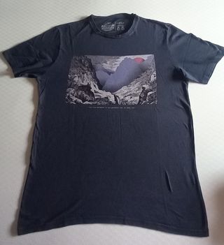 Lote 5 Camisetas Manga Corta Variadas