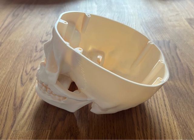 Calavera de plástico decorativa