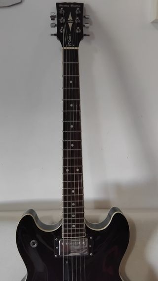 Guitarra Eléctrica Tipo Gibson 335 Negra