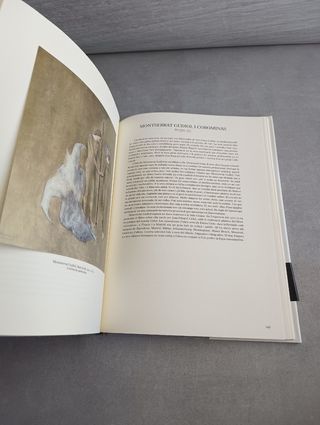 LA PINTURA CATALANA. ELS PROTAGONISTES DELS SEGLES