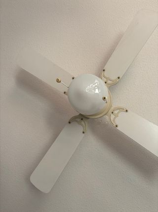 2 Ventiladores de techo.