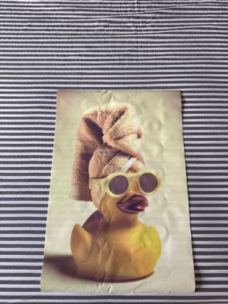 Poster Papera