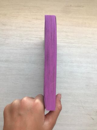 Amelia Fang and the Unicorn Lords