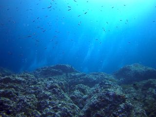 Cámara tipo SJ4000 4K Sumergible con Accesorios