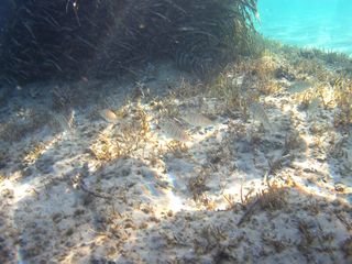 Cámara tipo SJ4000 4K Sumergible con Accesorios