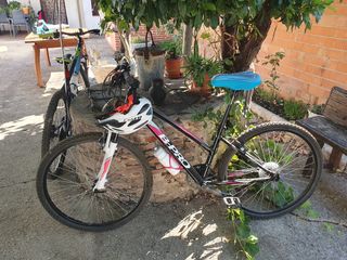 Bicicleta mujer B-PRO