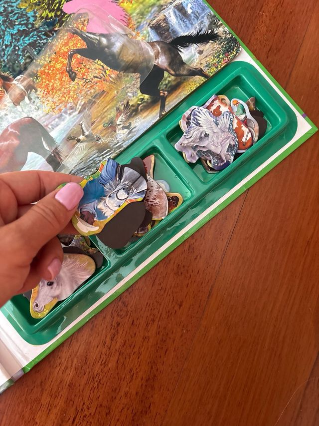 Caballos con imanes libro