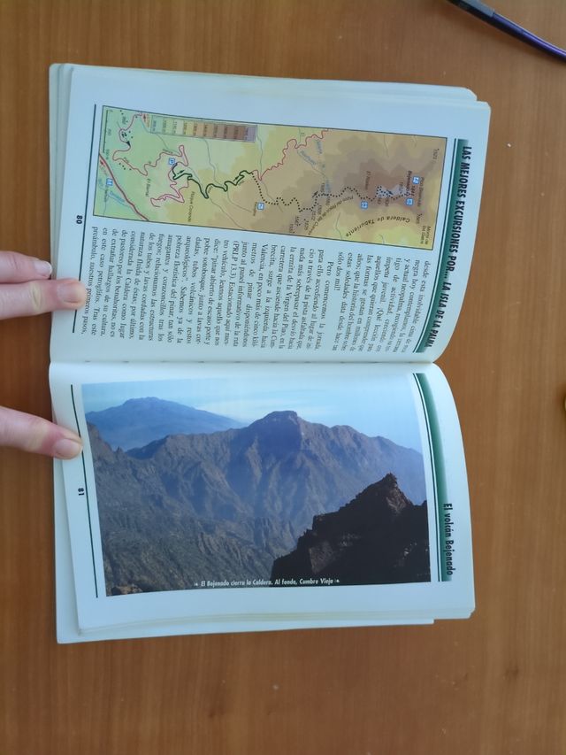 La isla de la Palma (Spanish Edition)