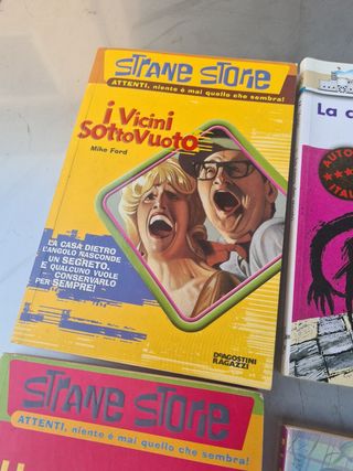 Una Fantastica Caccia Al Ladro