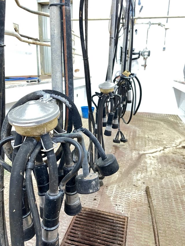 Sistema de ordeño Alfa Laval Agri