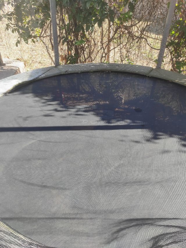 Cama elástica Decathlon 240 cm