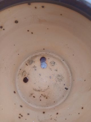 Scaldino a cestino antico