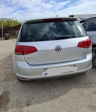 Despiece Volkswagen Golf VII