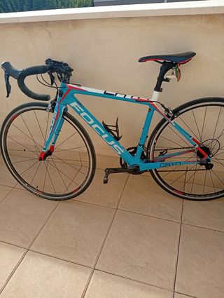 Bicicleta Carretera Carbono Focus Cayo talla XS