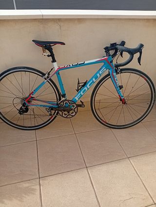 Bicicleta Carretera Carbono Focus Cayo talla XS