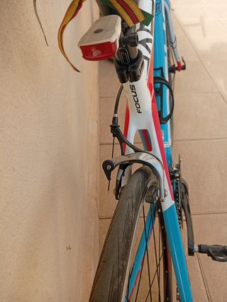 Bicicleta Carretera Carbono Focus Cayo talla XS