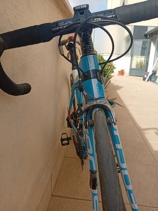Bicicleta Carretera Carbono Focus Cayo talla XS