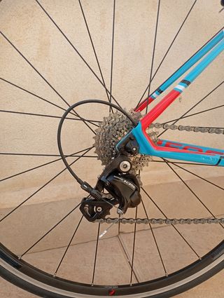 Bicicleta Carretera Carbono Focus Cayo talla XS
