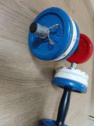 Manubri regolabili con dischi colorati Salter