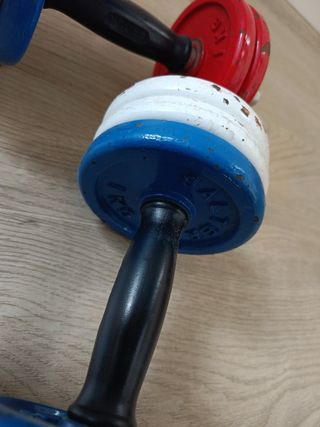 Manubri regolabili con dischi colorati Salter