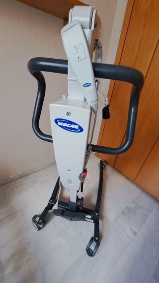 Grua de transferencia 