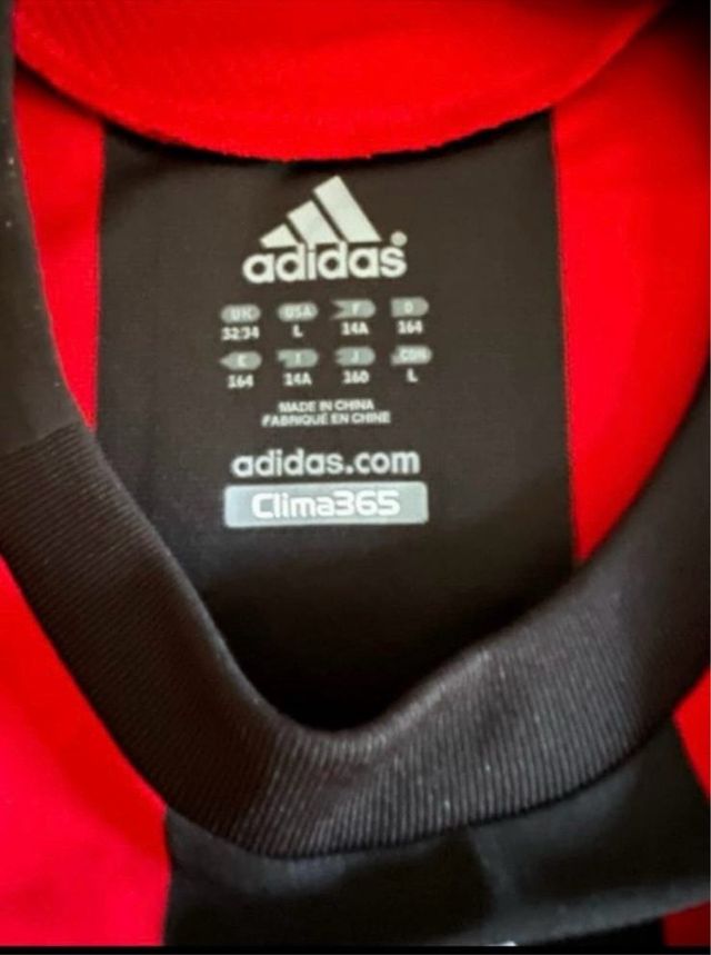 Camiseta Pirlo AC Milan firmada + certificado