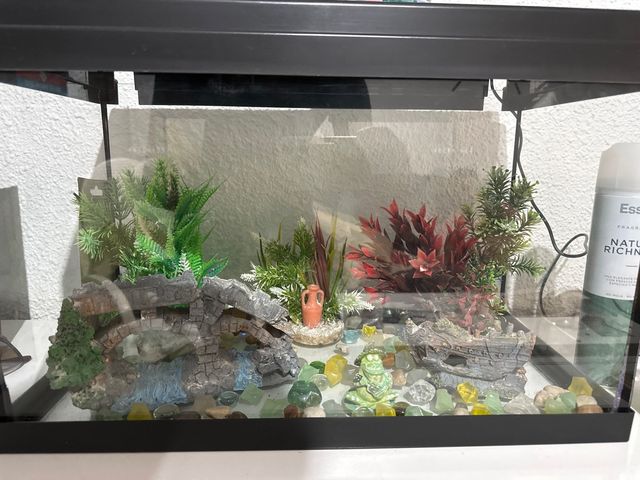 Acuario grande con luz